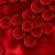 Experimental breast cancer drug could help patients with T-ALL too